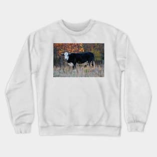 Cow In The Meadow Crewneck Sweatshirt